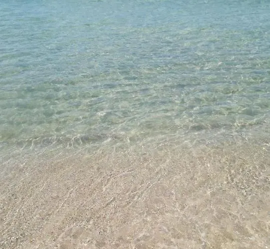 Delle Rose 아파트 *